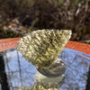 Moldavite 1.0 grams #1790-Moldavite Life