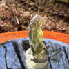 Moldavite 1.0 grams #1804-Moldavite Life