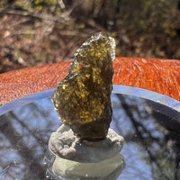 Moldavite 1.0 grams #1809-Moldavite Life