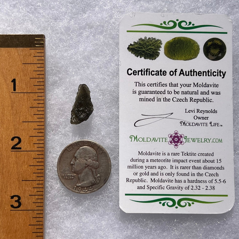 Moldavite 1.0 grams #1809-Moldavite Life