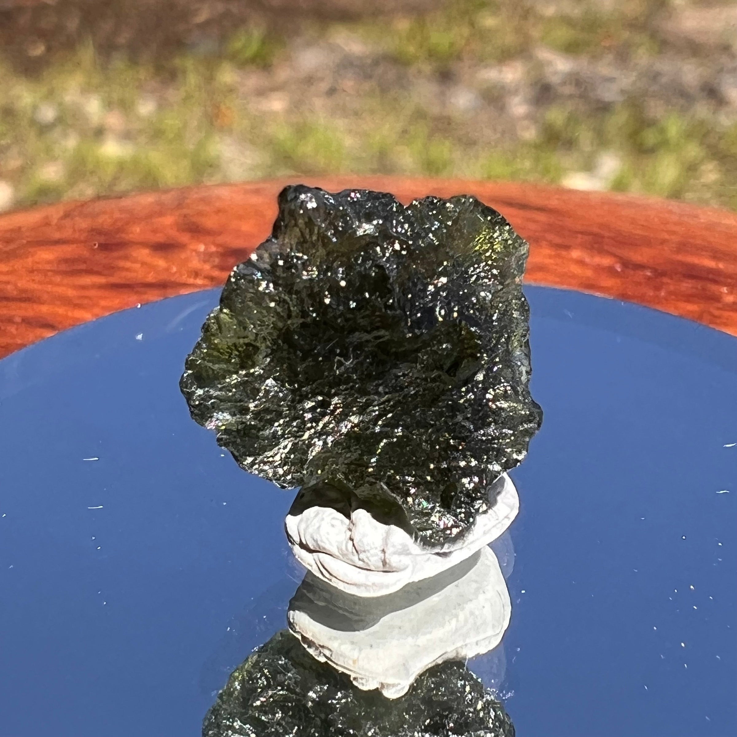 Moldavite 1.0 grams #1826-Moldavite Life