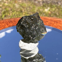 Moldavite 1.0 grams #1826-Moldavite Life