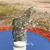 Moldavite 1.0 grams #1830-Moldavite Life