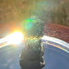 Moldavite 1.0 grams #1836-Moldavite Life