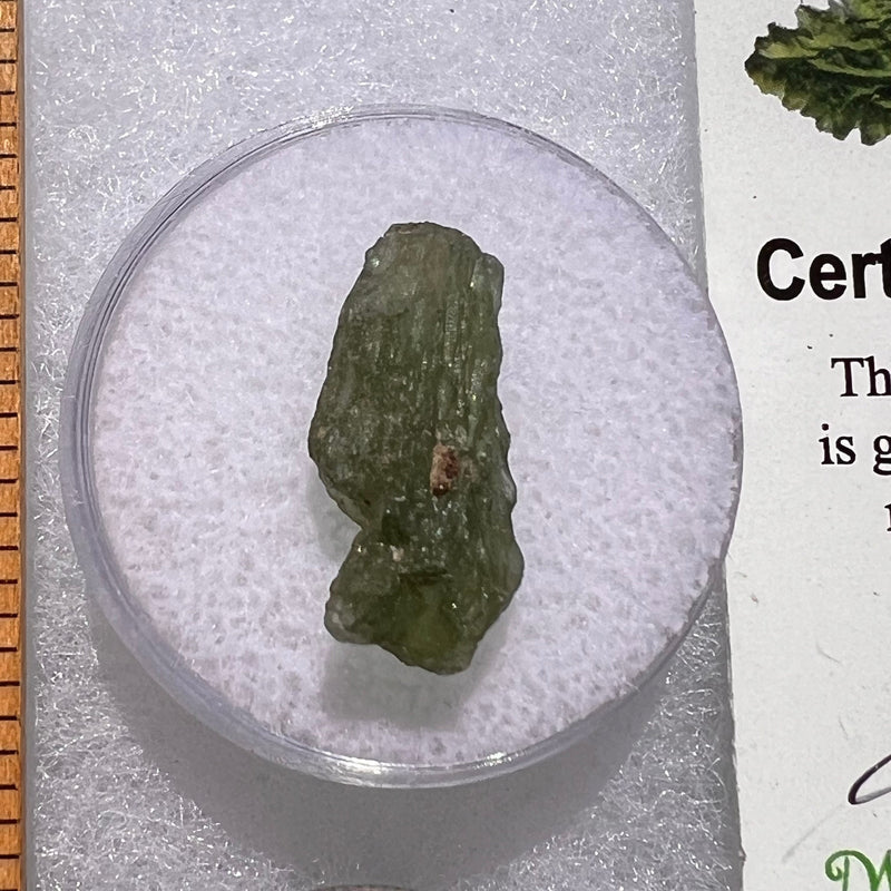 Moldavite 1.0 grams #1836-Moldavite Life