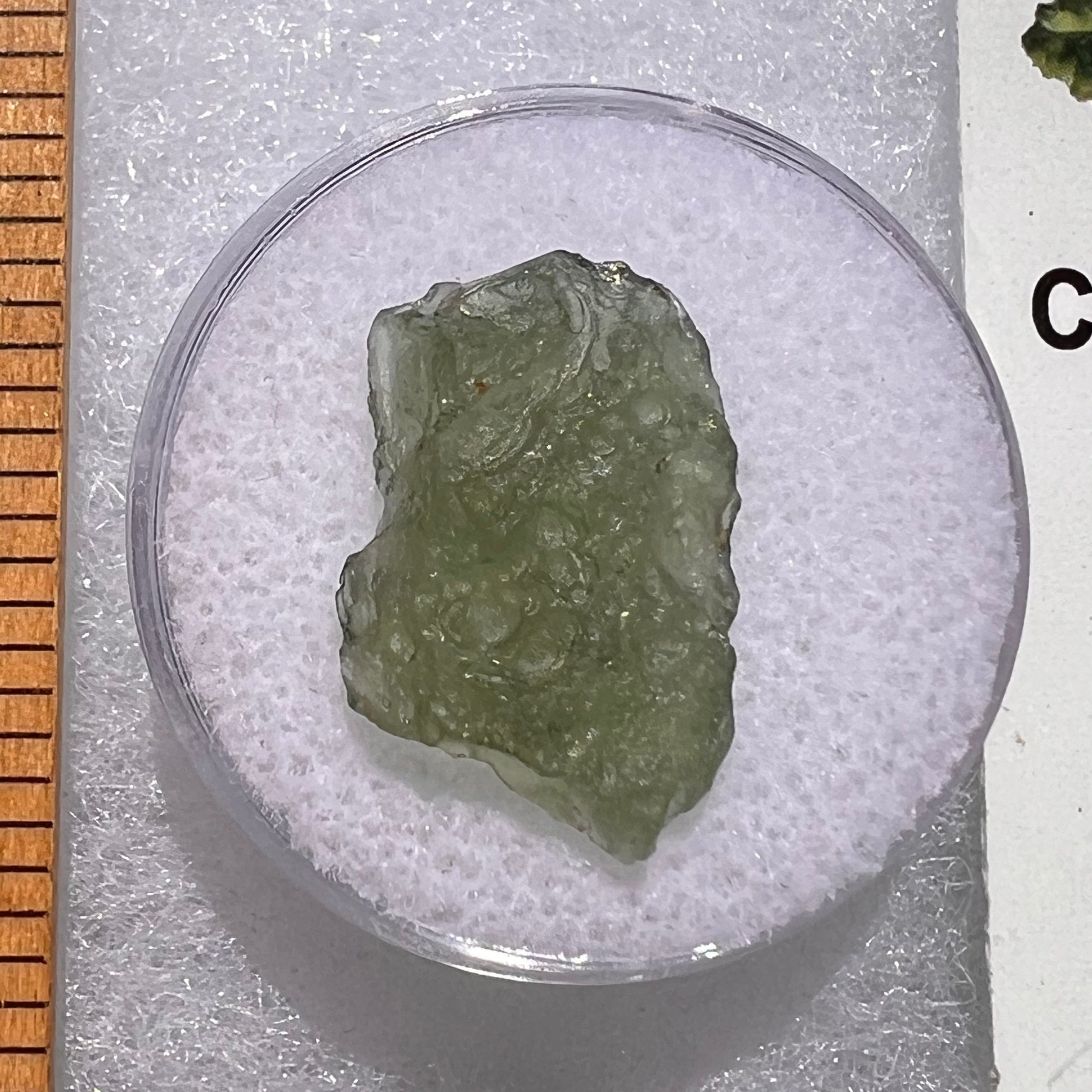 Moldavite 1.0 grams #1837-Moldavite Life