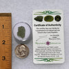 Moldavite 1.0 grams #1837-Moldavite Life