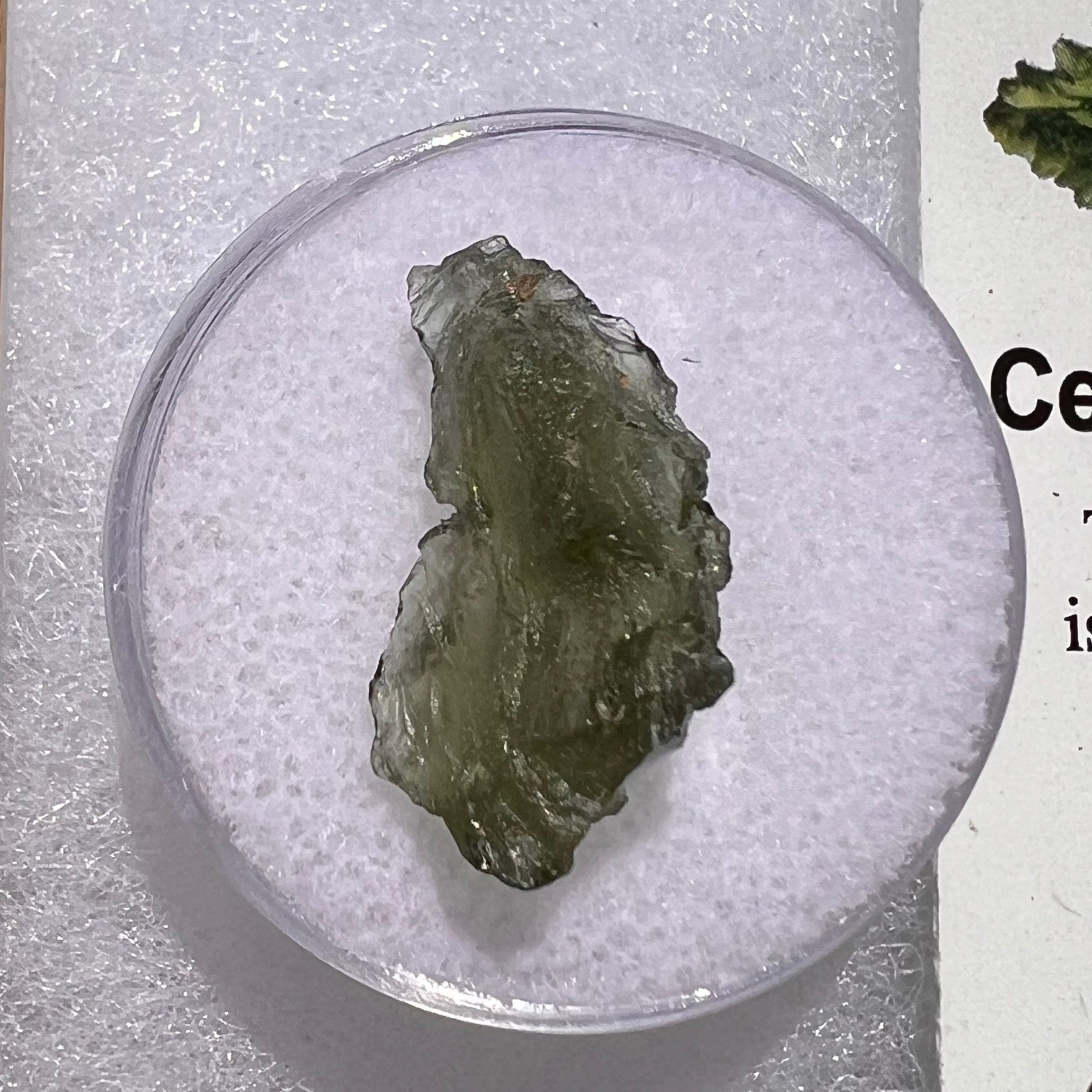 Moldavite 1.0 grams #1838-Moldavite Life