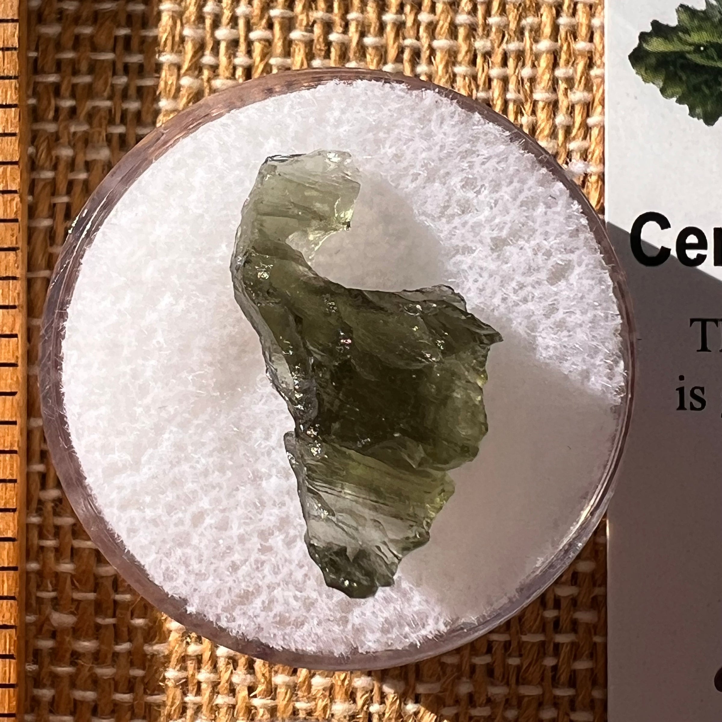 Moldavite 1.1 gram #2284-Moldavite Life