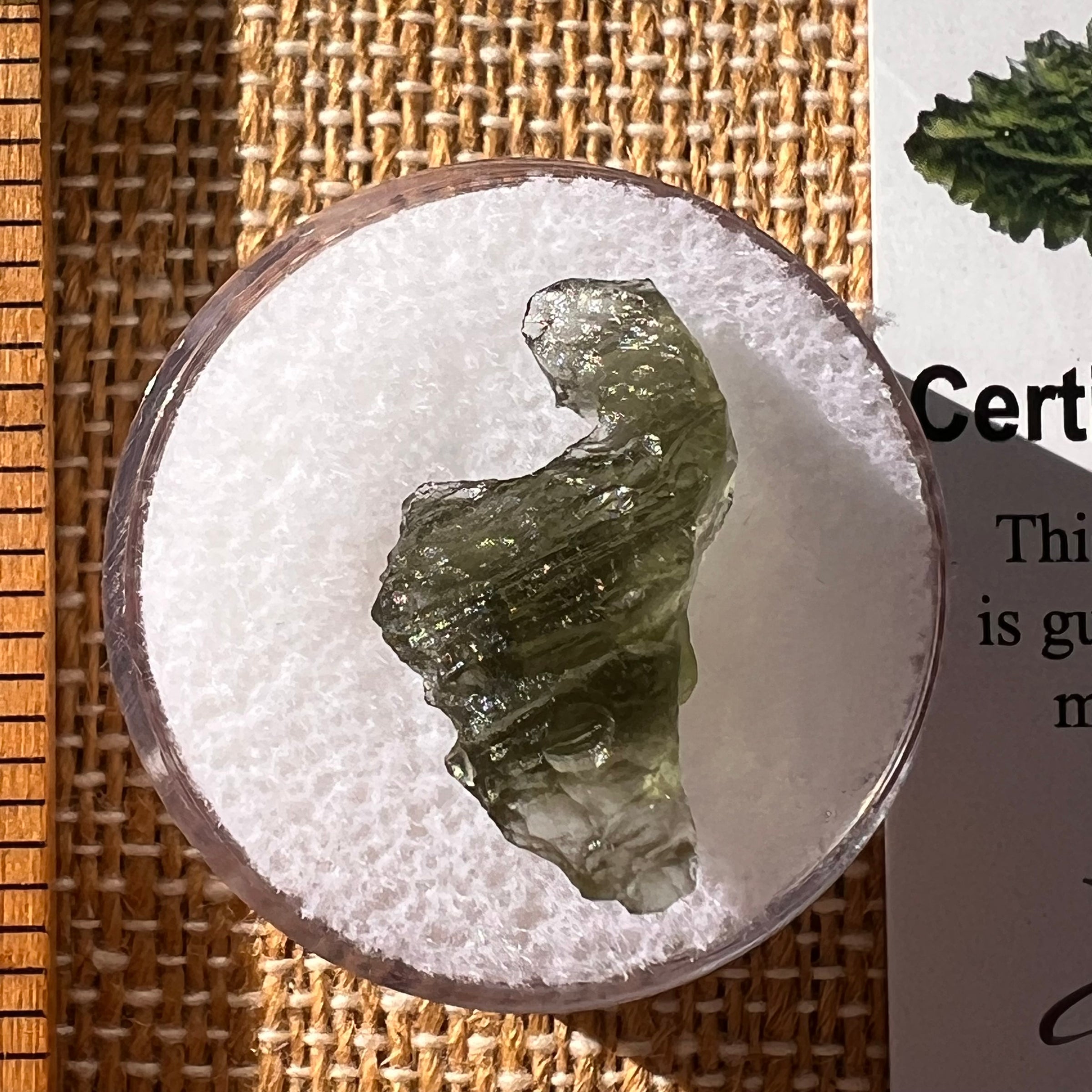 Moldavite 1.1 gram #2284-Moldavite Life