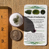 Moldavite 1.1 gram #2284-Moldavite Life