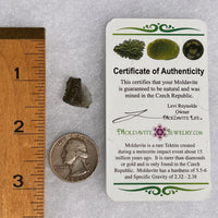 Moldavite 1.1 grams #1694-Moldavite Life
