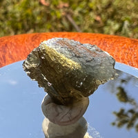 Moldavite 1.1 grams #1694-Moldavite Life