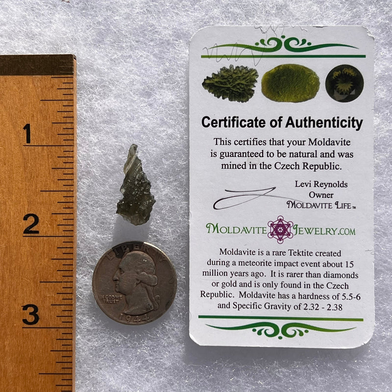 Moldavite 1.1 grams #1758-Moldavite Life