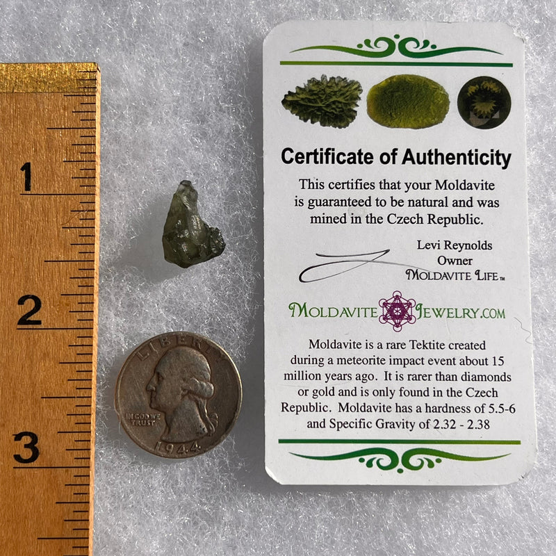 Moldavite 1.1 grams #1776-Moldavite Life
