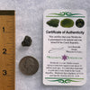 Moldavite 1.1 grams #1785-Moldavite Life