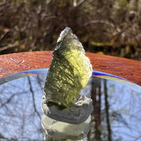 Moldavite 1.1 grams #1795-Moldavite Life