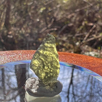 Moldavite 1.1 grams #1795-Moldavite Life