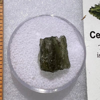 Moldavite 1.1 grams #1840-Moldavite Life