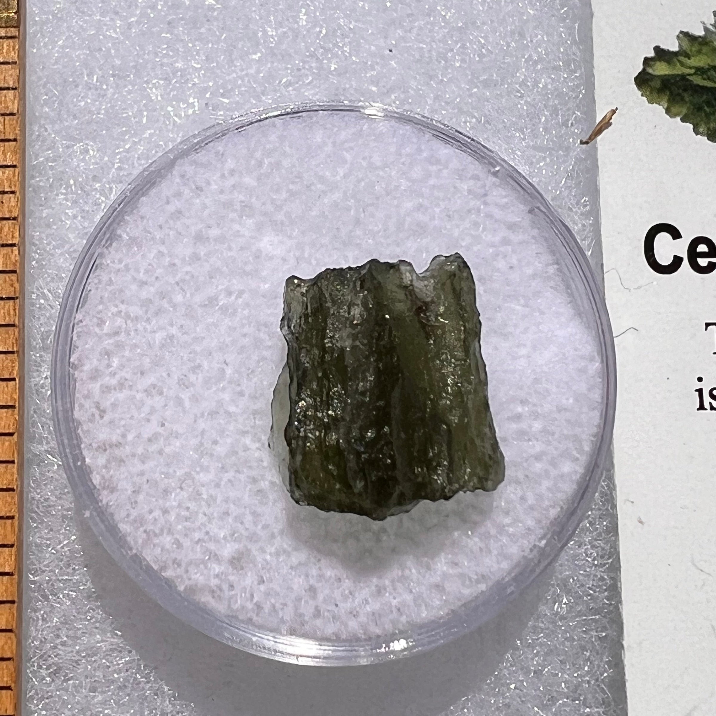 Moldavite 1.1 grams #1840-Moldavite Life