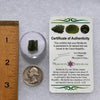 Moldavite 1.1 grams #1840-Moldavite Life