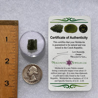 Moldavite 1.1 grams #1840-Moldavite Life