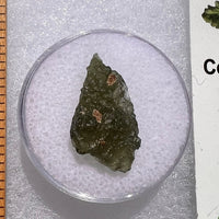 Moldavite 1.1 grams #1844-Moldavite Life