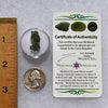 Moldavite 1.1 grams #1845-Moldavite Life