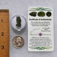 Moldavite 1.1 grams #1845-Moldavite Life