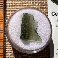 Moldavite 1.1 grams #1893-Moldavite Life