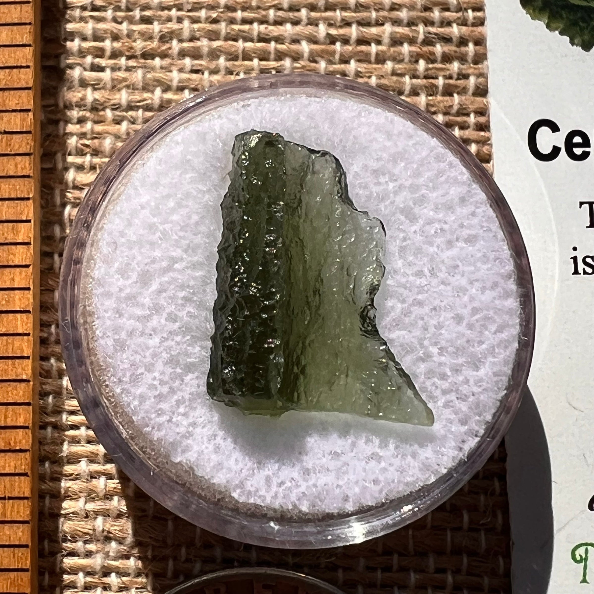 Moldavite 1.1 grams #1893-Moldavite Life