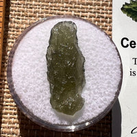 Moldavite 1.1 grams #1895-Moldavite Life