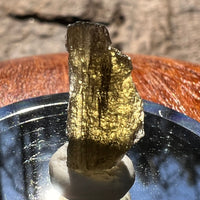 Moldavite 1.1 grams #1897-Moldavite Life