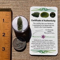 Moldavite 1.1 grams #1898-Moldavite Life