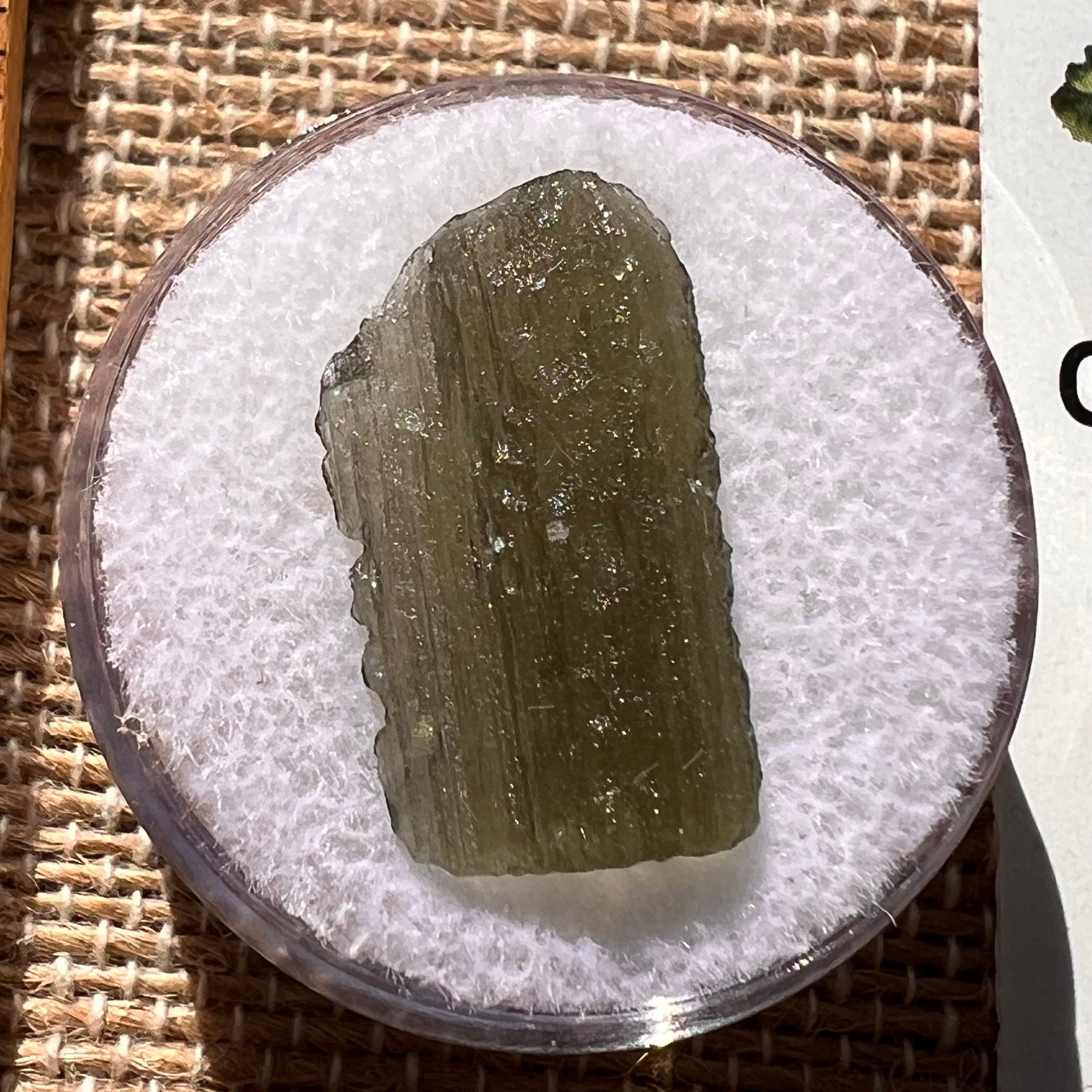 Moldavite 1.1 grams #1901-Moldavite Life