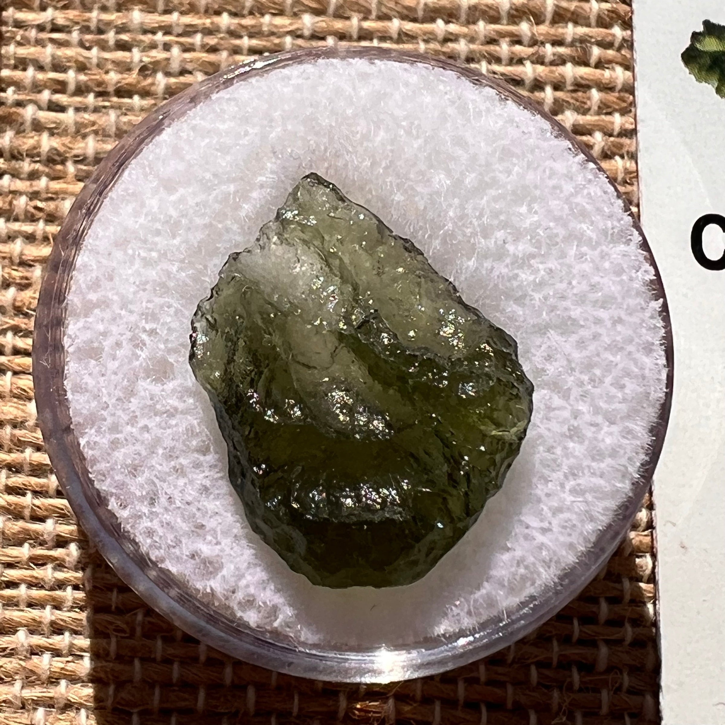 Moldavite 1.1 grams #1906-Moldavite Life