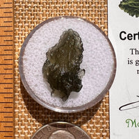 Moldavite 1.1 grams #2066-Moldavite Life