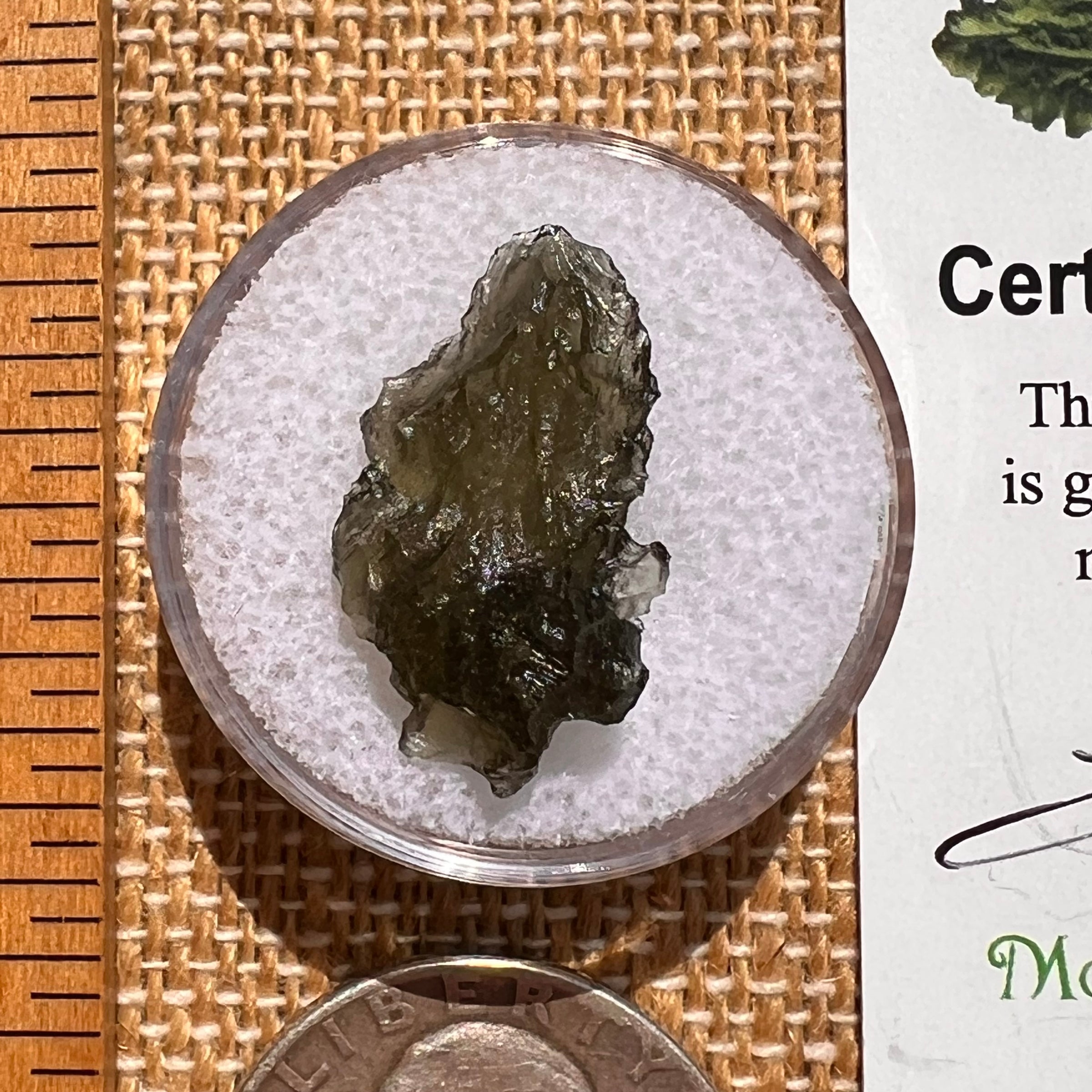Moldavite 1.1 grams #2066-Moldavite Life