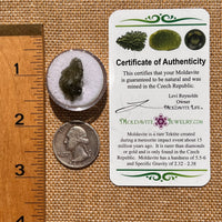 Moldavite 1.1 grams #2066-Moldavite Life