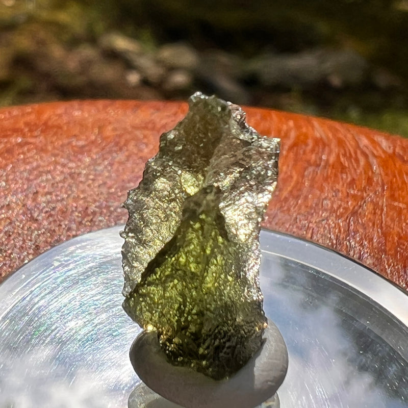 Moldavite 1.1 grams #2069-Moldavite Life