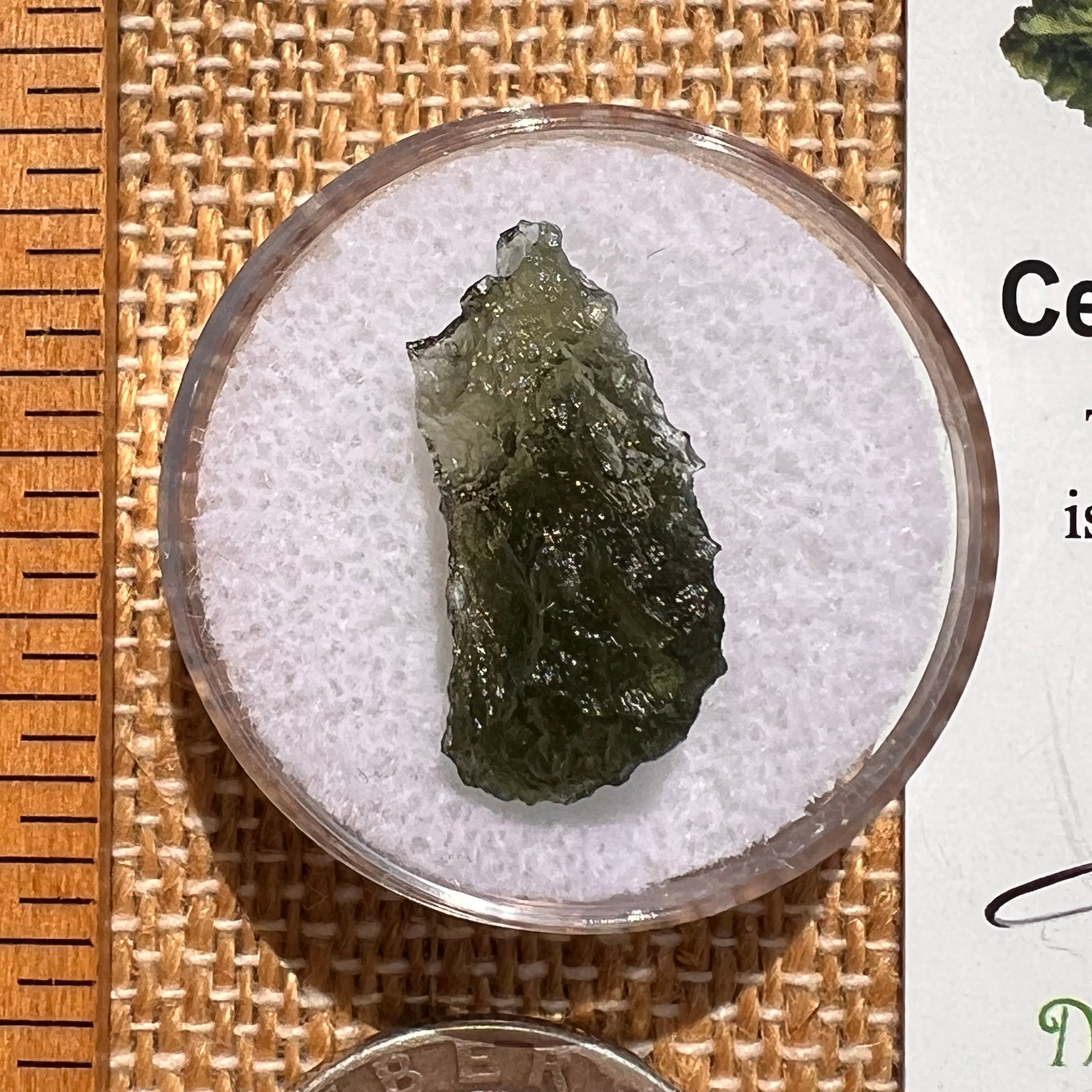 Moldavite 1.1 grams #2069-Moldavite Life
