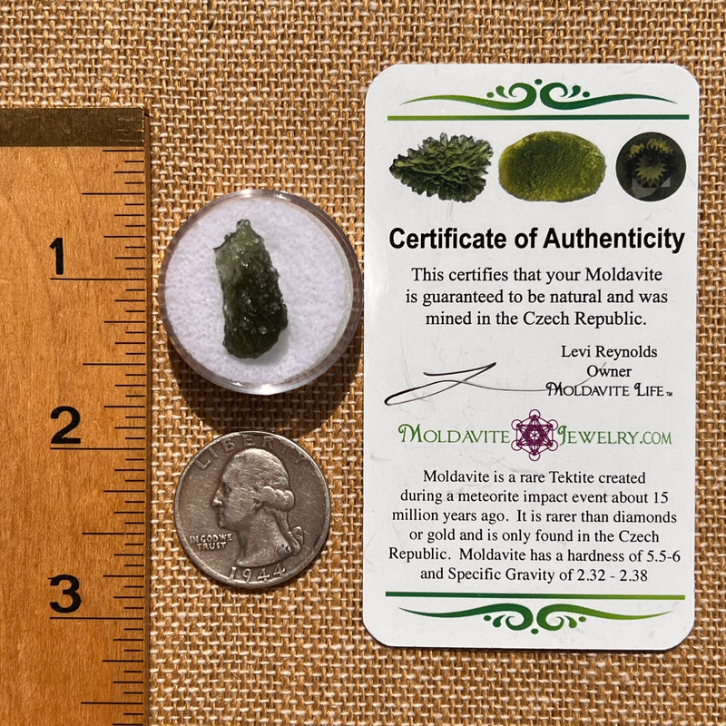 Moldavite 1.1 grams #2069-Moldavite Life