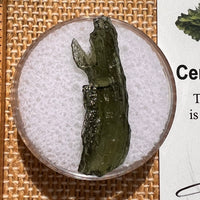 Moldavite 1.1 grams #2070-Moldavite Life