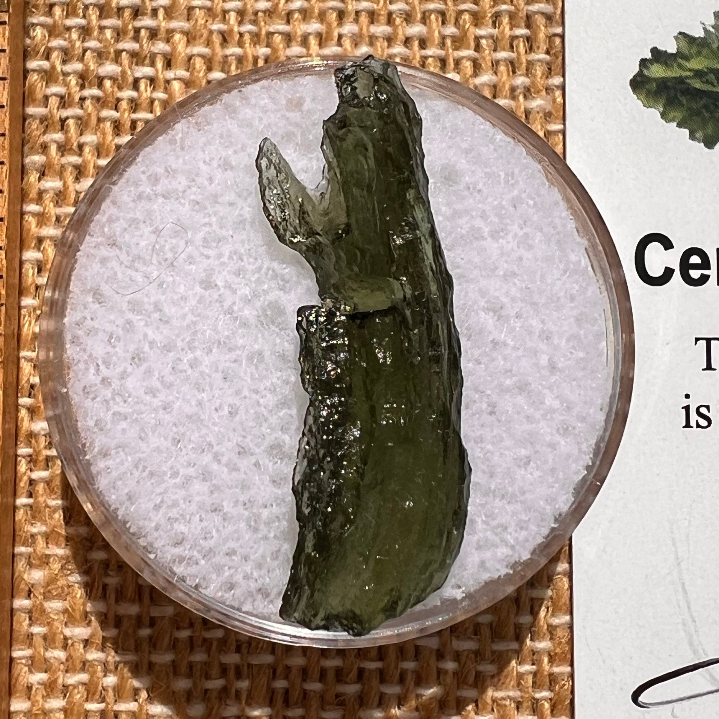 Moldavite 1.1 grams #2070-Moldavite Life