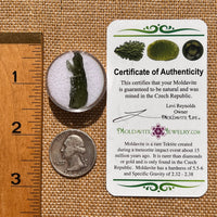 Moldavite 1.1 grams #2070-Moldavite Life