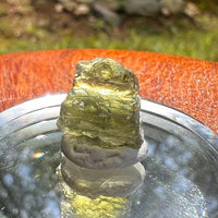 Moldavite 1.1 grams #2074-Moldavite Life