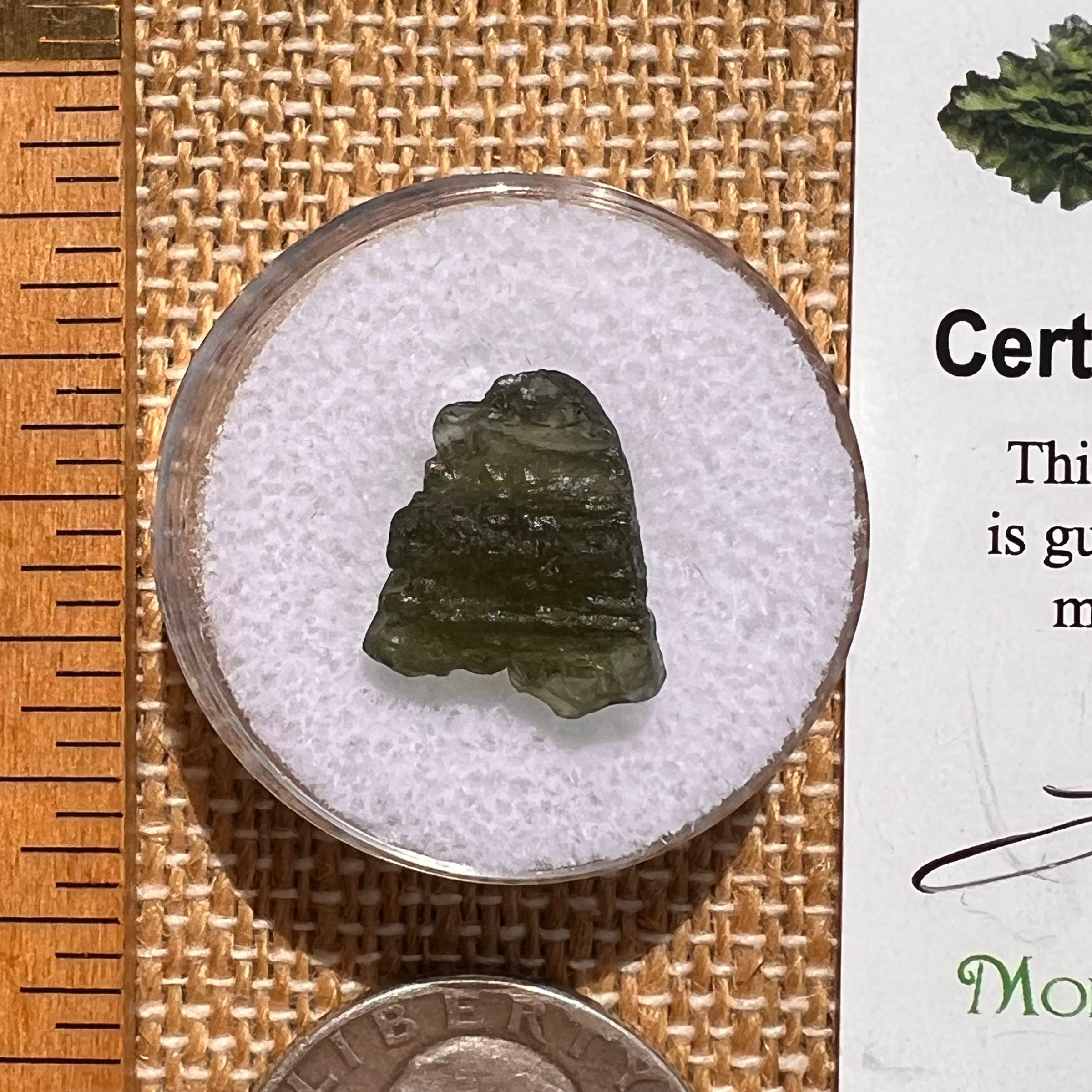 Moldavite 1.1 grams #2074-Moldavite Life