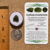 Moldavite 1.1 grams #2074-Moldavite Life