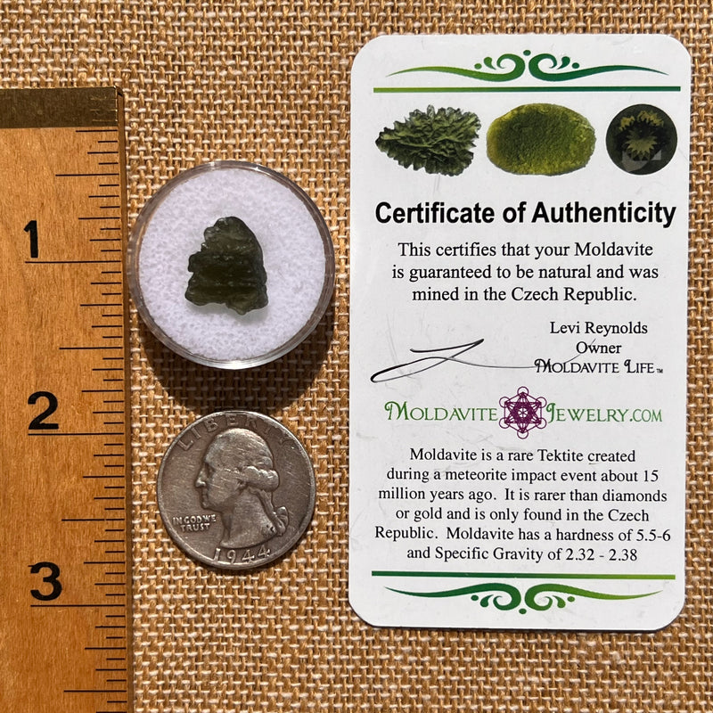 Moldavite 1.1 grams #2074-Moldavite Life