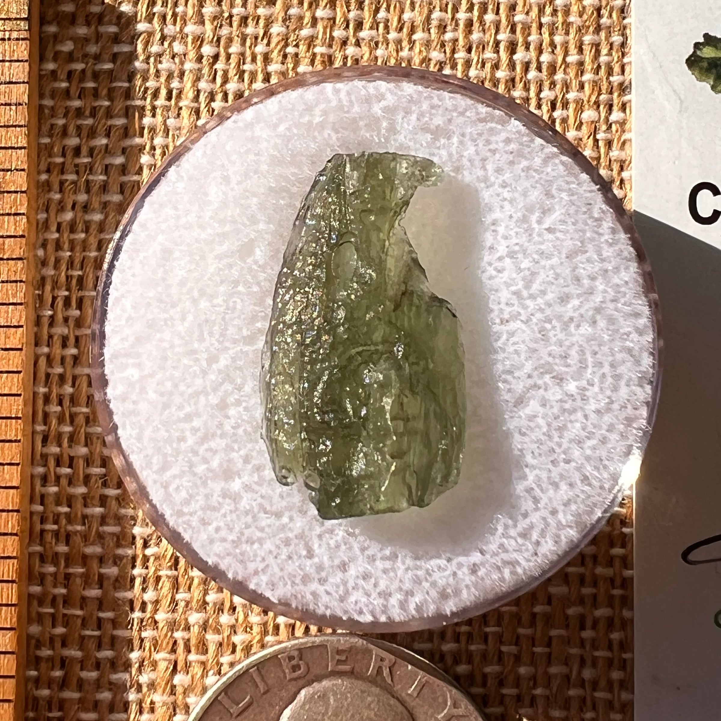 Moldavite 1.1 grams #2197-Moldavite Life